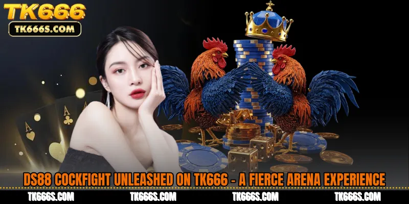 DS88 Cockfight Unleashed on TK666 - A Fierce Arena Experience