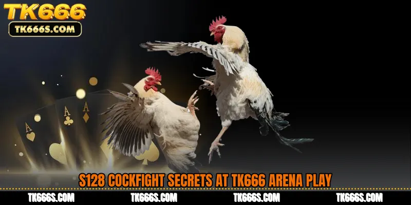 S128 Cockfight Secrets at TK666 Arena Play
